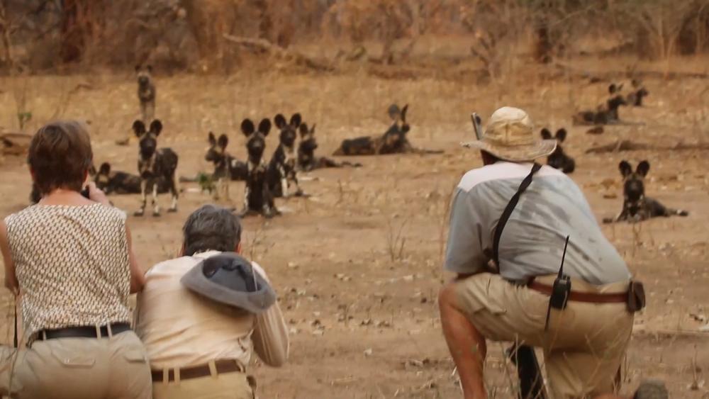 Mana Pools National Park safari Zimbabwe